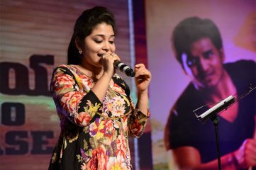 Karthikeya Audio Launch